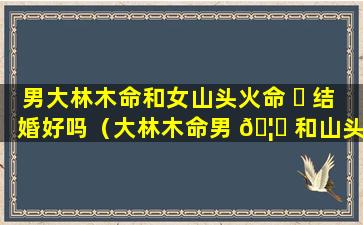 男大林木命和女山头火命 ☘ 结婚好吗（大林木命男 🦟 和山头火命女在一起配吗）